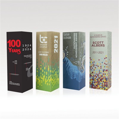 Elements 360 Black Award 11"