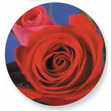 3D Opti Lenticular Badge (3" Diameter)